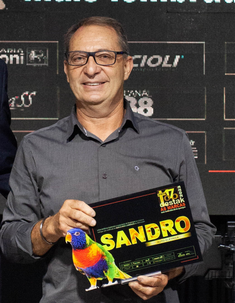 auto eletrica sandro