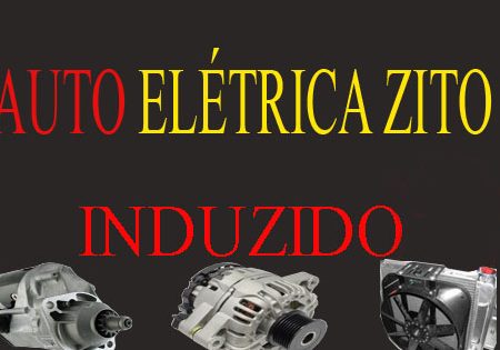 Auto Elétrica Zito Induzido 1 auto eletrica zito induzido