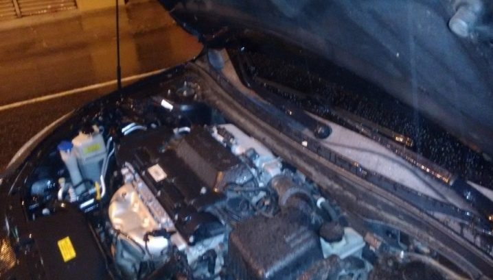 bonifacio auto eletrica