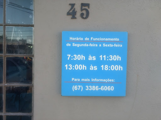 Auto Elétrica Duzze