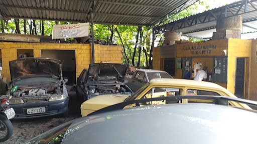Auto Elétrica do Pele