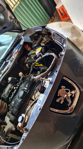 Auto Eletrica Tuta